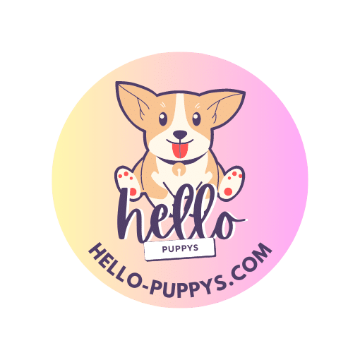 https://hello-puppys.com/